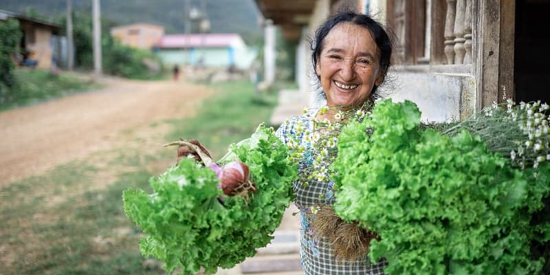 Image without description